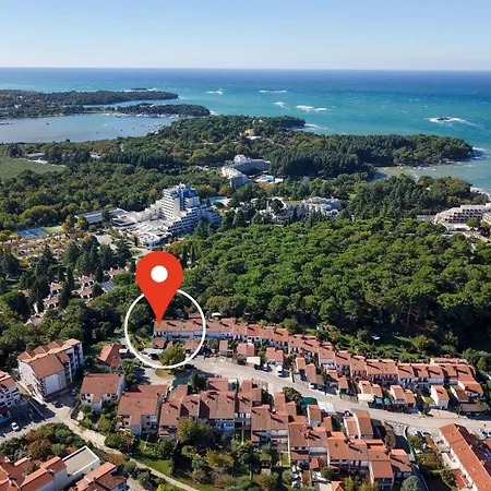 公寓 App Mary Jane *